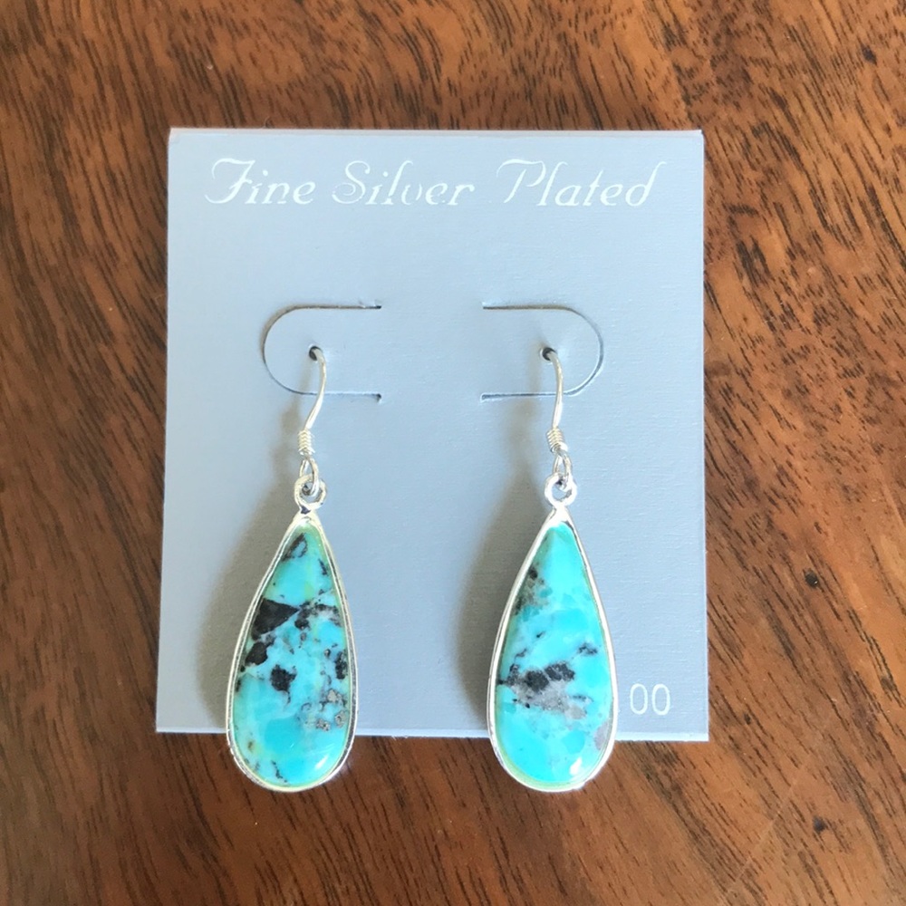 Turquoise Dangle Earrings